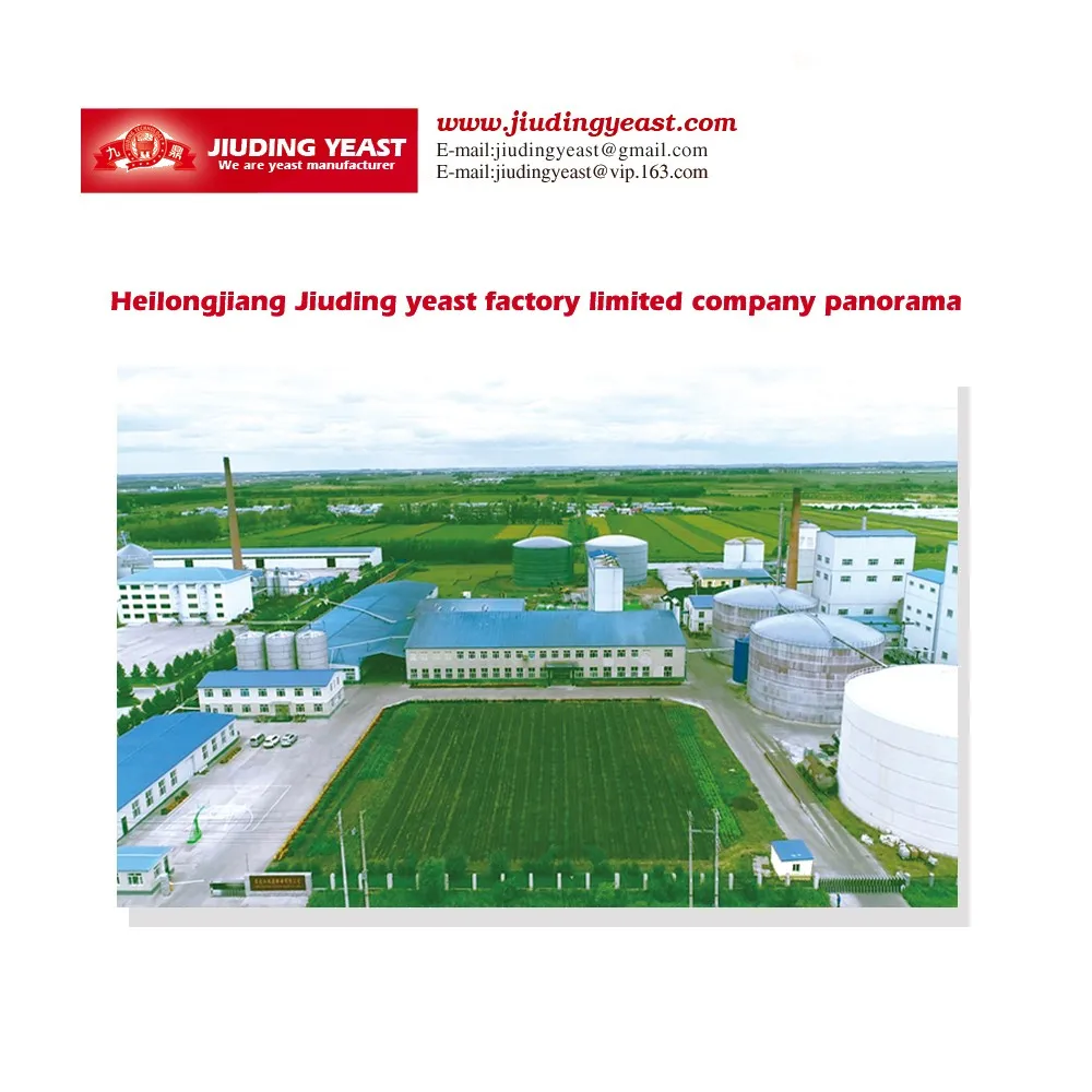 
Active feed dry yeast Live Yeast Of Saccharomyces cerevisiae For Animal Feed 