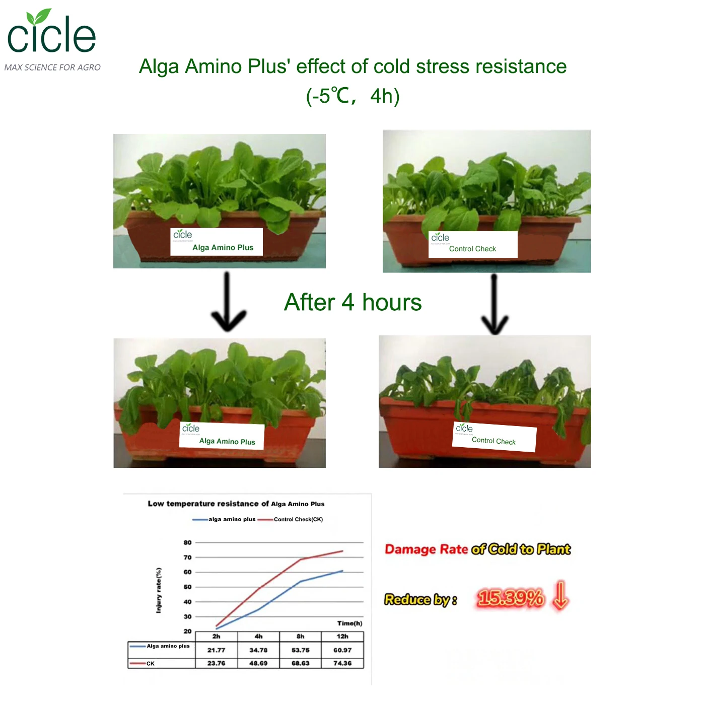 organic Fertilizer Biostimulants Alga amino plus Enhance crop stress resistance Ascophyllum Nodosum source