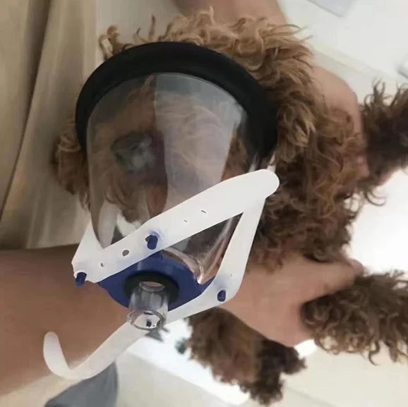 High Quality Veterinary Equipment Pet Dog Anesthesia Oxygen Mask Animal Anesthesia Mask