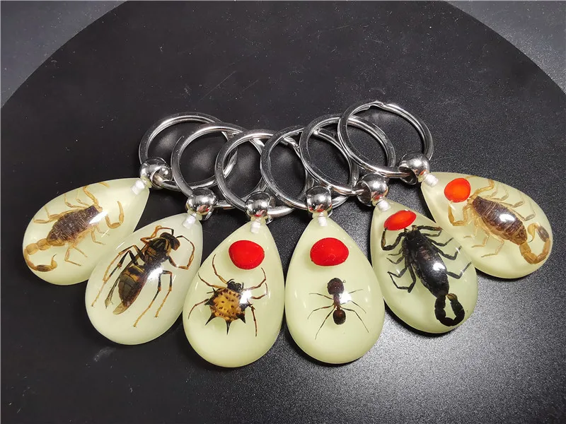 Luminous amber insect keychain pendant real insect resin specimen pendant wholesale  tiktok hot supply promotion gift set