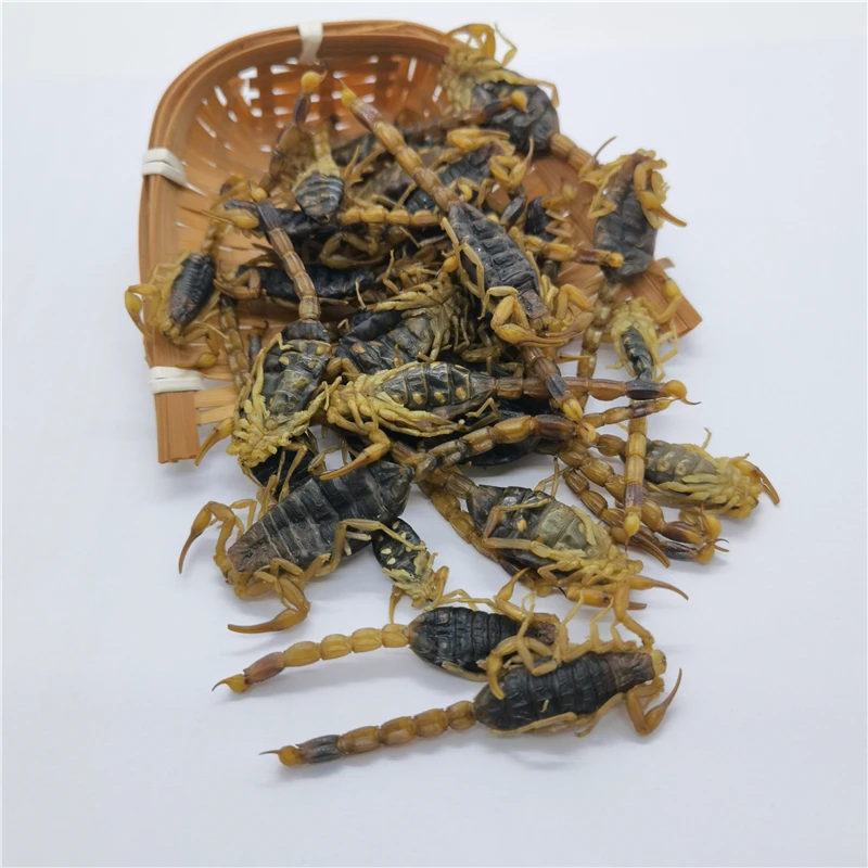 quan xie hot sale natural herb dry scorpion without salt