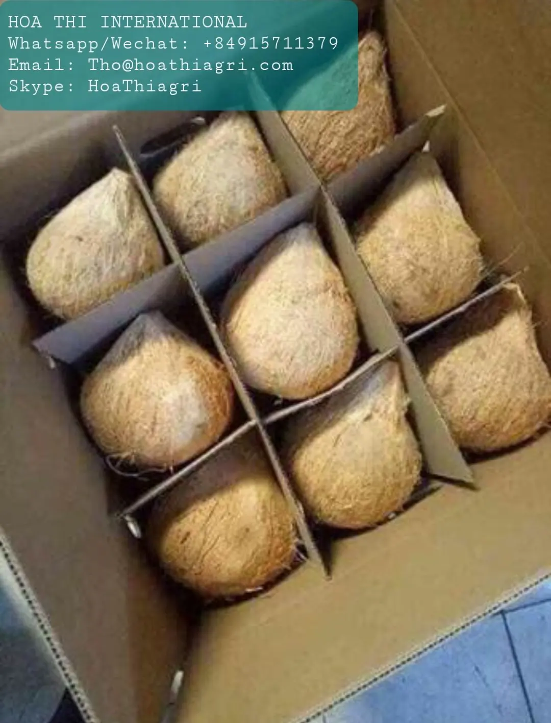 One Year Shell Life Semi Husked Coconut From Vietnam High Quality - Best Price for Export Origin From Vietnam