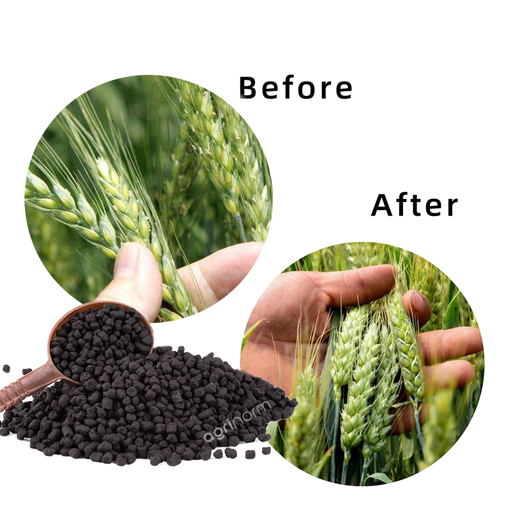 High Quality Growth Promoter soluble granular organic fertilizer