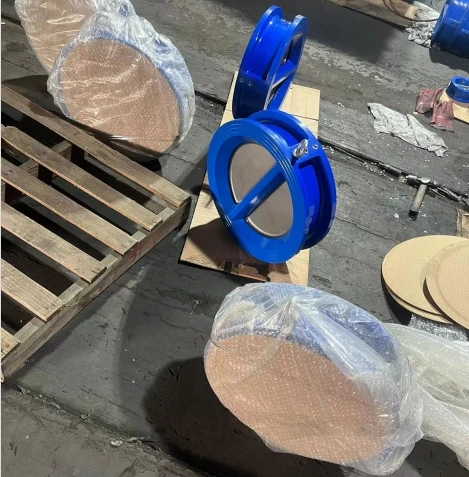 China supplier PN16 pressure GGG50 body SS304 disc wafer double disc check valve