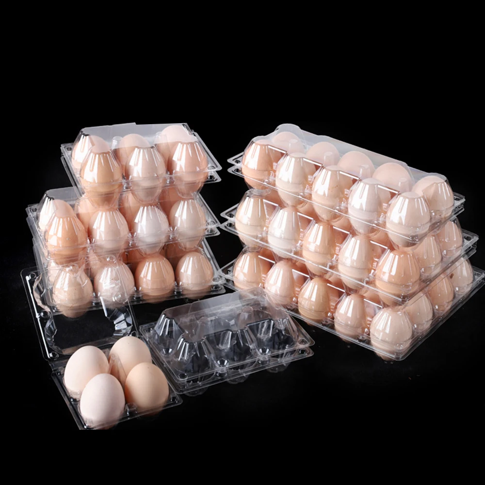 4 6 8 9 10 12 15 16 20 30 Holes Transparent Disposable Bliser Egg Carton Clear Plastic Egg Tray for Farmer