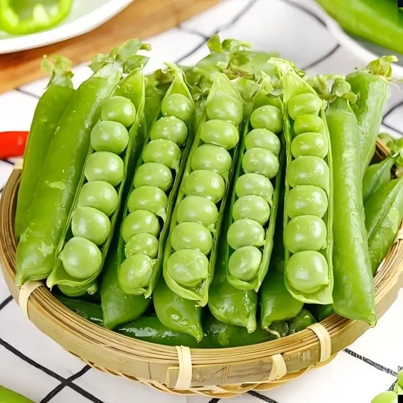 High-quality pea protein powder pea extract