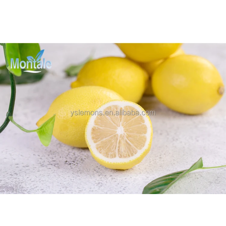 Montale, оптовая продажа по всему миру, высокое качество, свежий лимон