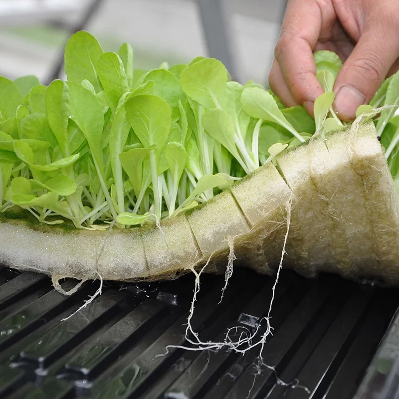 Propagation Starter Seedling Tray 1020 Plant Growing Trays