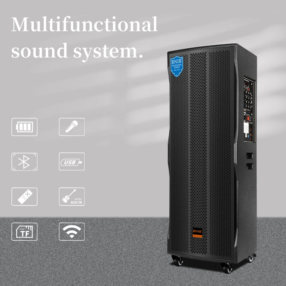 New Arrival 12 Inch Subwoofer Box Speaker Multifunction Portable Party Dj Wireless Trolley Speaker With Mic