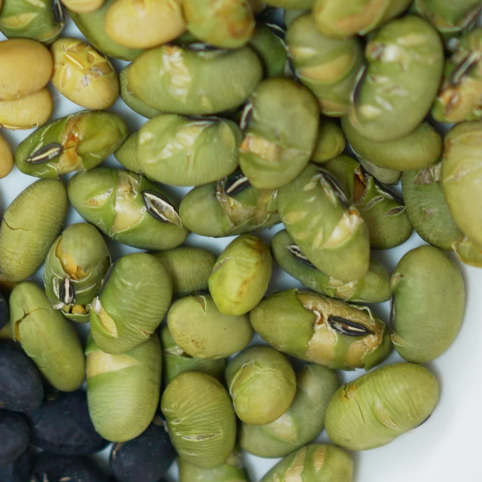 
Roasted green soya bean Soybean Seeds Bulk Style Packaging 