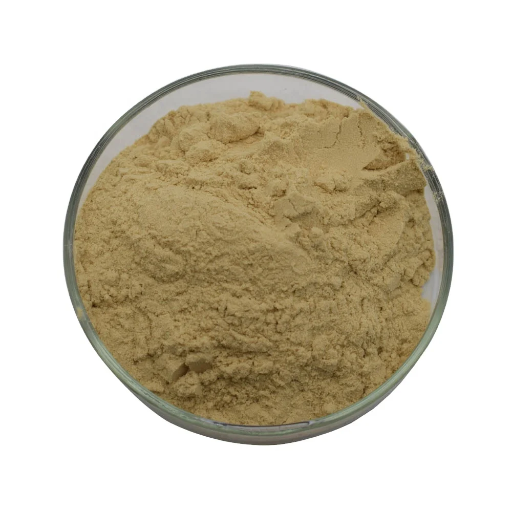 Nutritional ingredient 20000 PPM Zinc Enriched Yeast/Zinc yeast