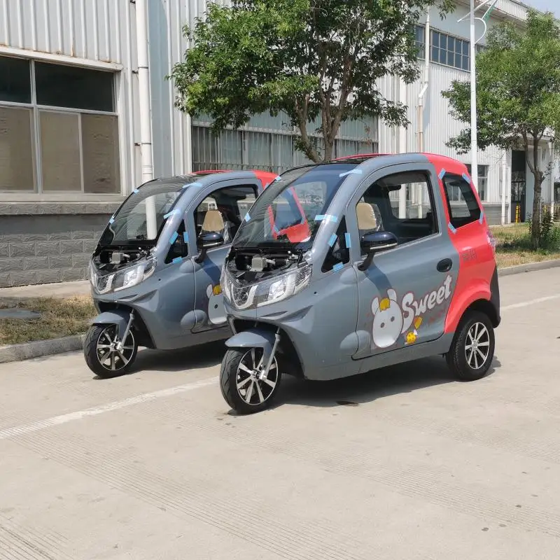 Raysince latest model enclosed electric tricycle China top sales 3 wheel electric car for adults