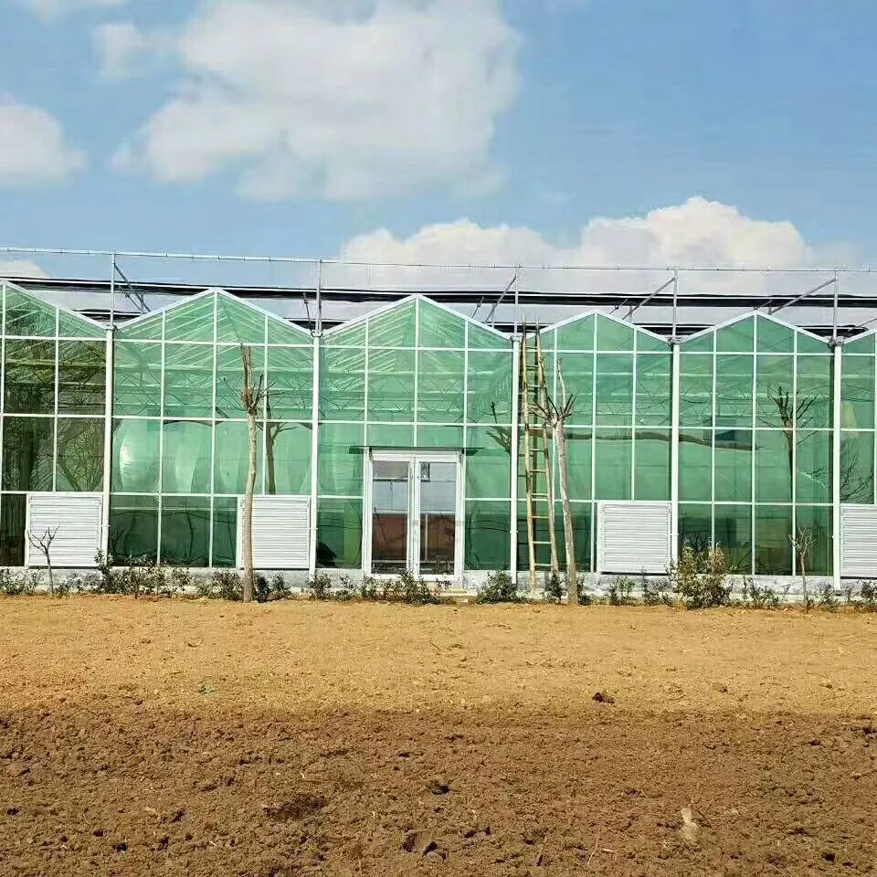 Распродажа многоразовое сельскохозяйственное оборудование для производства стеклянных теплиц Выращивание овощей большая стеклянная теплица продажи