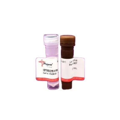 Предоставляем высококачественный исследовательский реагент ROS Assay Kit