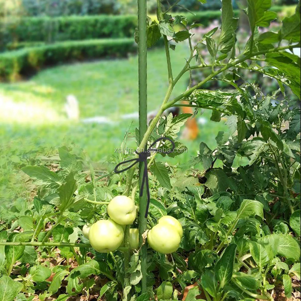 Custom Fiberglass Plastic Tomato Garden Support Stakes