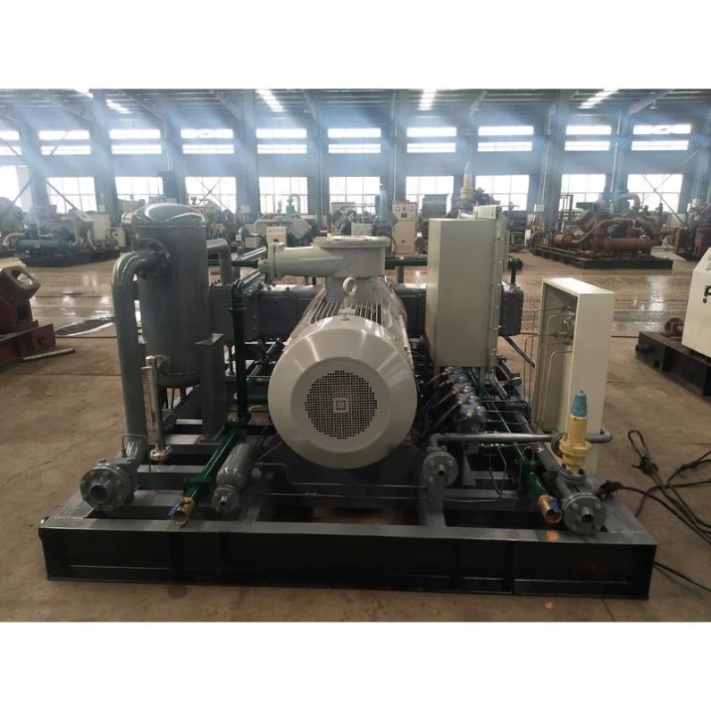 Professional Manufacturer Wholesale Price Biogas Filling Machine Gas Compressor