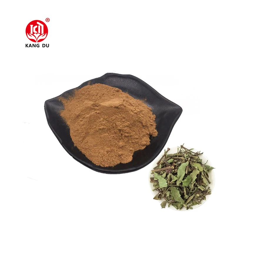 100% чистый натуральный порошок экстракта почечного конуса 10:1