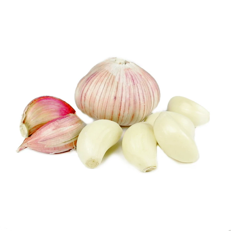 Export Chinese Price Garlic Box 10kg 50kg Natural Organic Garlic Normal White Fresh Garlic In Bulk