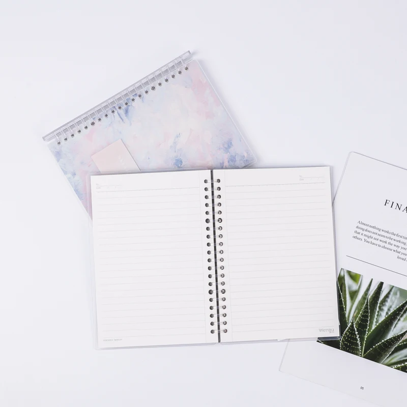 Пользовательский красочный A5/A6 мечтательная живопись пластиковая проволока-O розовый спиральный блокнот