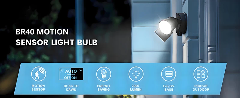 Motion Sensor BR40