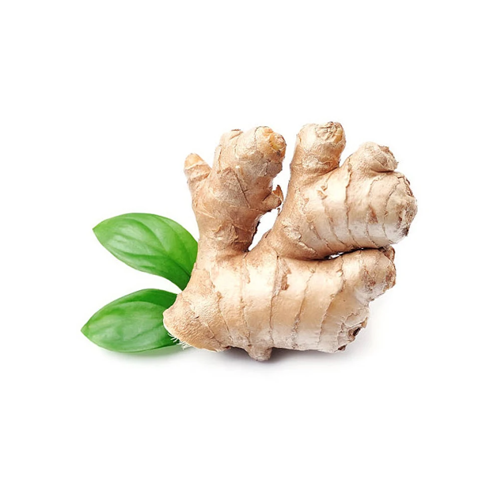 Индийский имбирное масло оптом экспортер имбирное масло