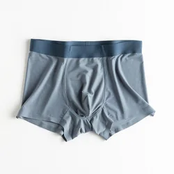 Новинка 2021, бесшовное нижнее белье из ледяного шелка, дышащие трусы-боксеры, цельные мужские боксеры
