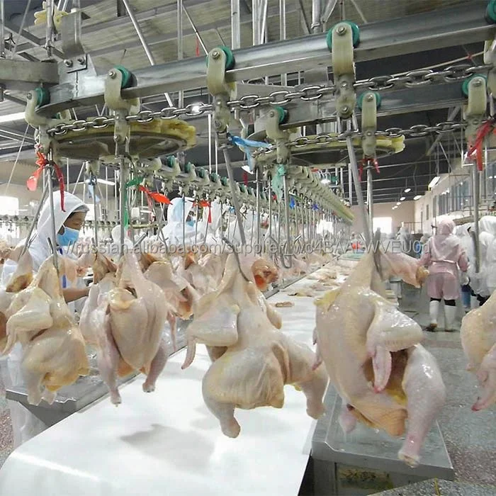 1000-2000BPH Poultry Slaughter Processing Line for Vietnam