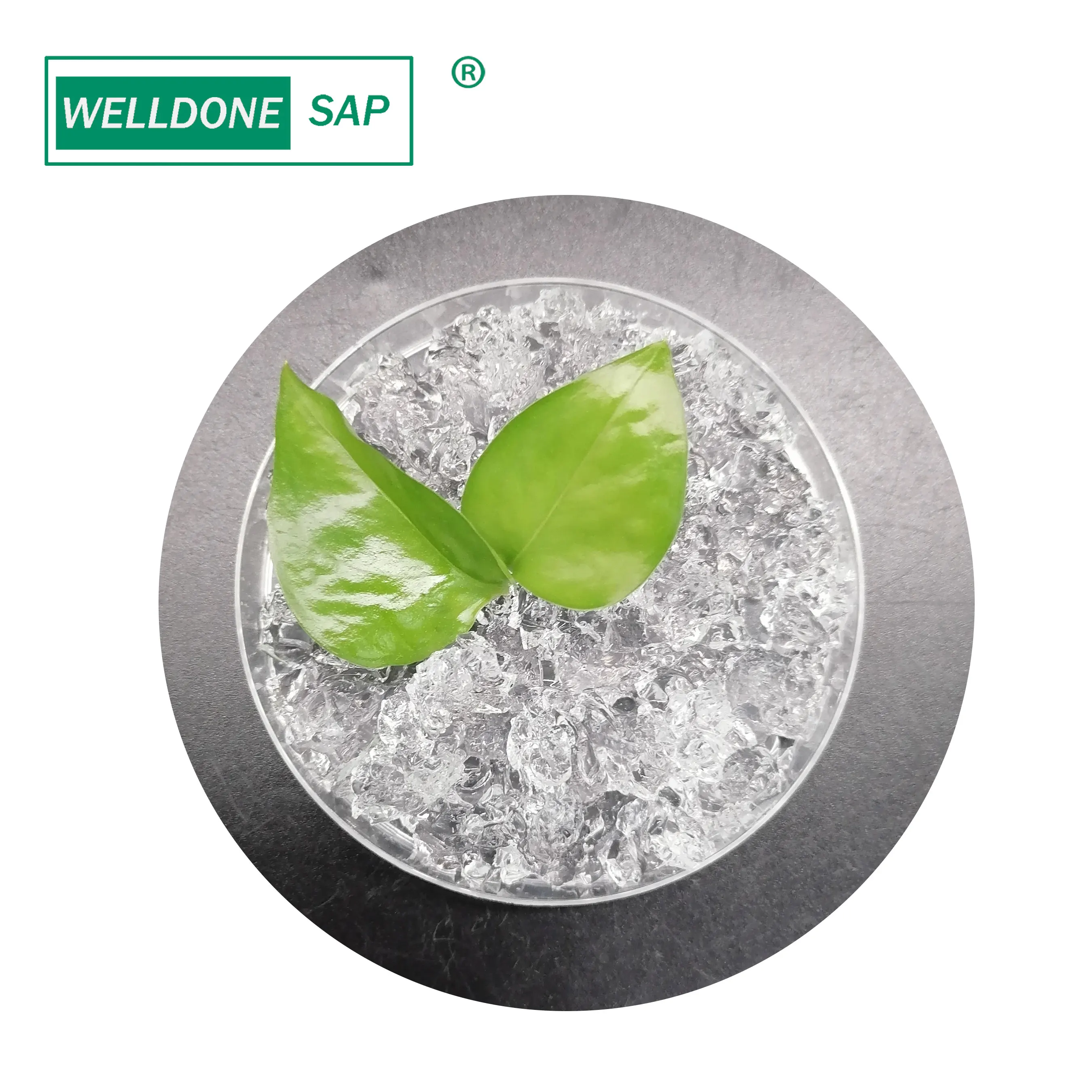 WELLDONE De Potassium Polyacrylate Prix Hydrogel Save Irrigation Manufacturing Potassium Polyacrylate Powder in Bags