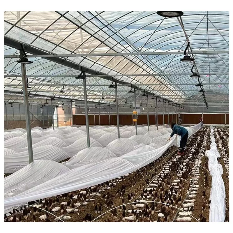 Factory Prefabricated Multi-Span Galvanized Steel Structure Vegetables/Fruit Trees/Flowers/Seed Plastic/Film/ Greenhouse
