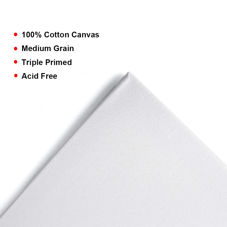 Tercel Wholesale Cheap Price Custom Size Pine Frame Painting Canvas Panels for Acrylic Print canvas