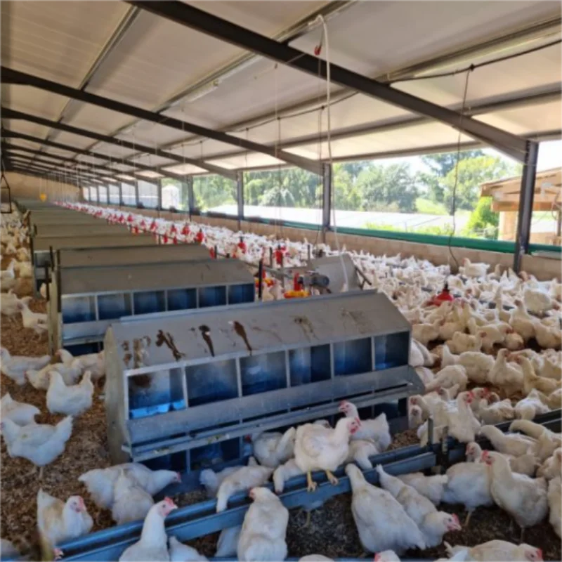 Chicken coop steel structure waterproof dog rabbit coop factory direct sales