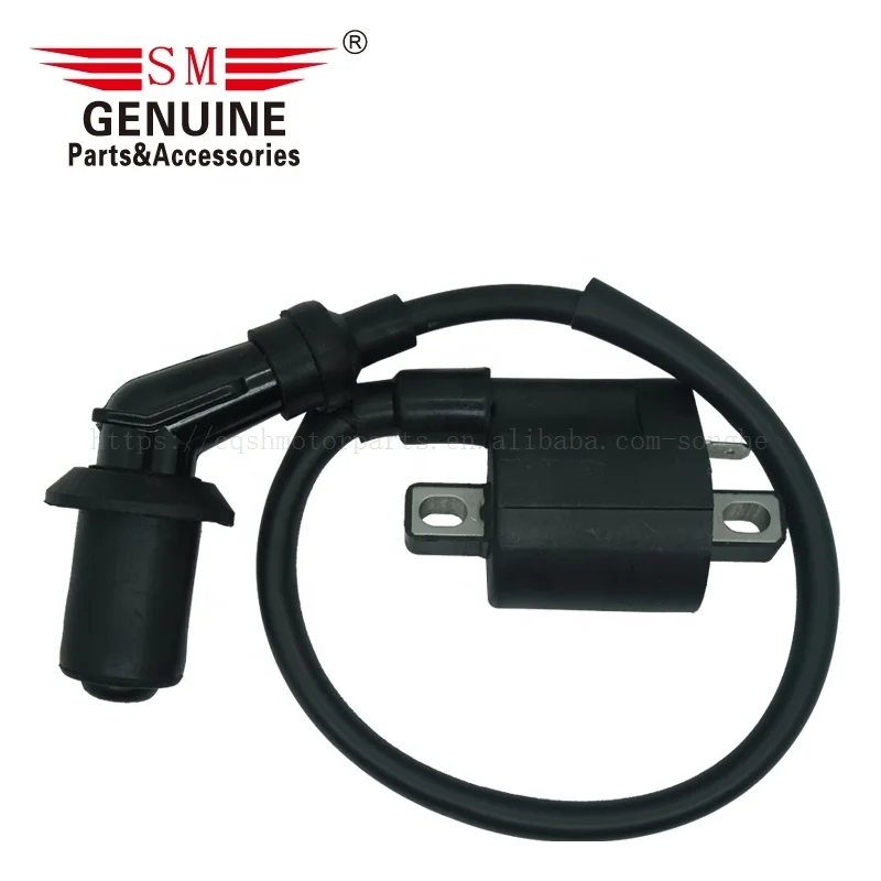 RTS Motorcycle ATV spare parts and accessories systems ATV150 ATV180 150CC 180CC 150 180 motorcycle ignition coils