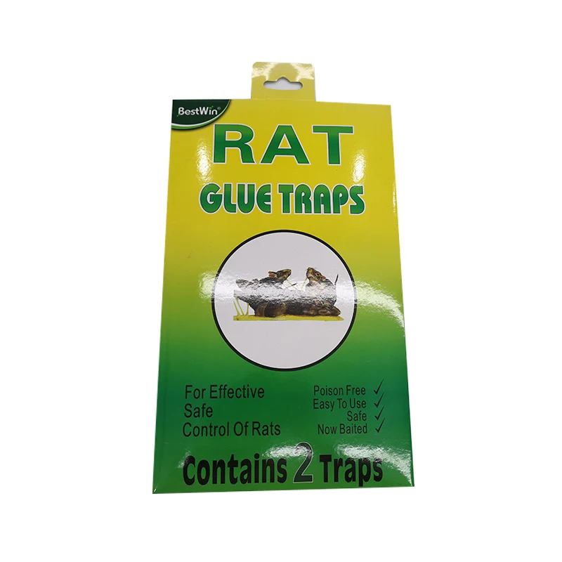 Control Homemade Outdoor Indoor Hanging Tape Paper Insects For Traps Glue Yellow Pest Catcher Bug Fly Trap Sticky Insect Plate