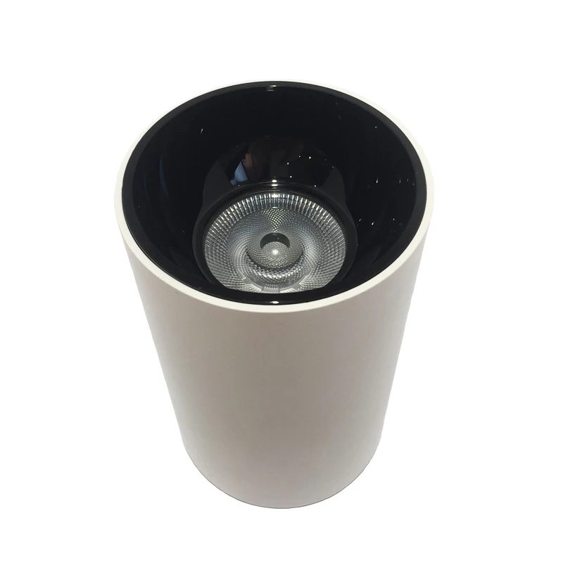 Outdoor Use Anti Glare 10W 20W 30W 40W Led Surface Mounted Downlight Waterproof Ip65 Light Aluminum Modern Led Cob 80w Spot 80w