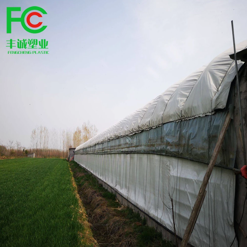 Black/White Black plastic Silo Cover / Bunker Silage cover for corn wheat grain fodder