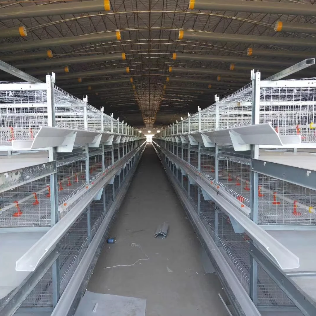 Modern Automatic Farming Equipment Of H Type Poultry And Hop-Dip Galvanized Layer Cage About  Bird Cage And Chicken Cage
