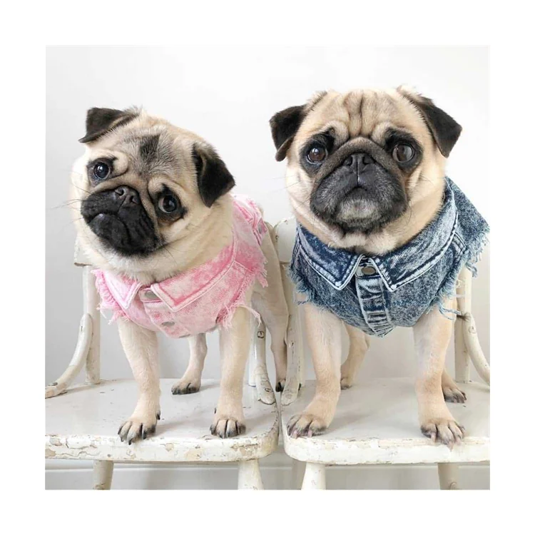 Wholesale Hot Selling pink Blue Dog Clothes Fashionable Denim Pet Coat Popular Vest Jacket for French Bulldog