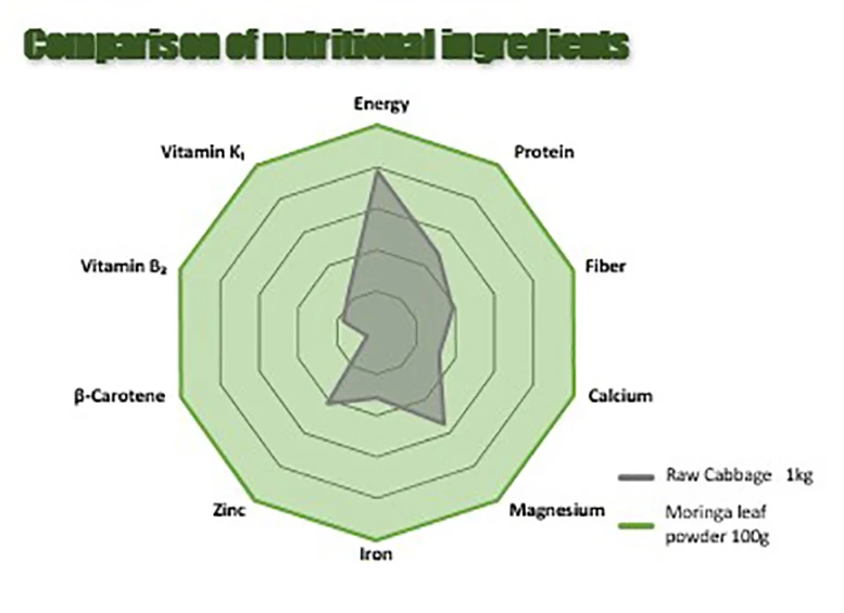 Important Crop Japanese Moringa Powdered Greens Juice Health Care Products for Home