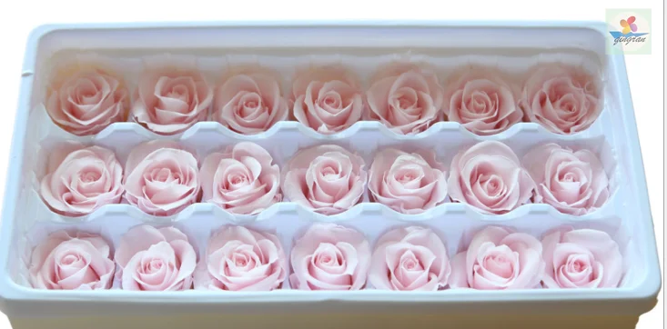 Factory supply preserved rose head 2-3cm preserved flower everlasting rose