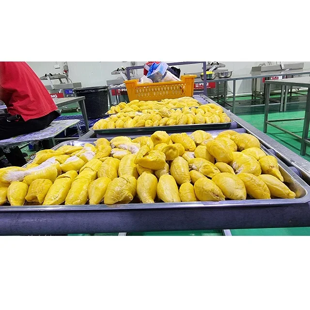Fresh Musang King Durian Fruit Grade A High Quality from Malaysia Top Durian Supplier