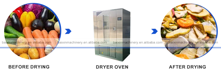 vegetable dryer1.png