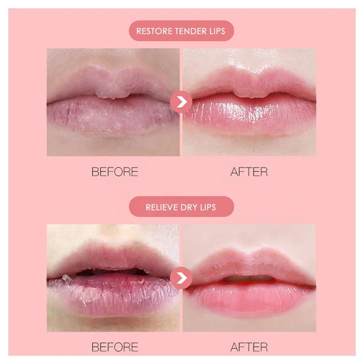 Wholesale New Fruit Flavor Cup Shape Cute Private Label Kids cupcake lip balm