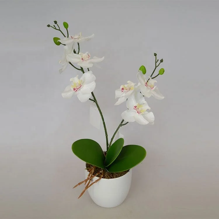 Wholesale garden decoration artificial plastic phalaenopsis orchid plants flowers Bonsai