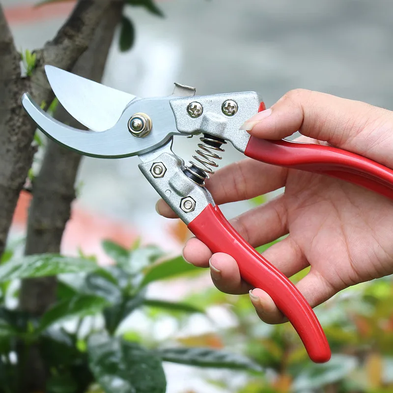 factory price professional manufacturer garden grape flower shears grape tree pruning shear pruner cutting scissors