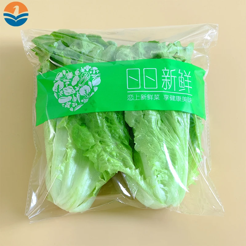 Reusable High Quality Vegetables Fruit Keep Fresh Plastic Packaging Bag  Plastic Bag