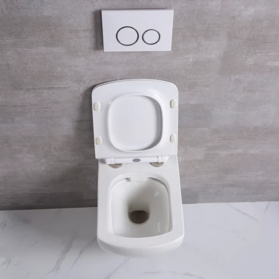 Modern Bathroom Suspended Wc Ceramic Sanitary Ware P-trap European Wall-hung Toilette Rimless Hanging Toilets Bowl