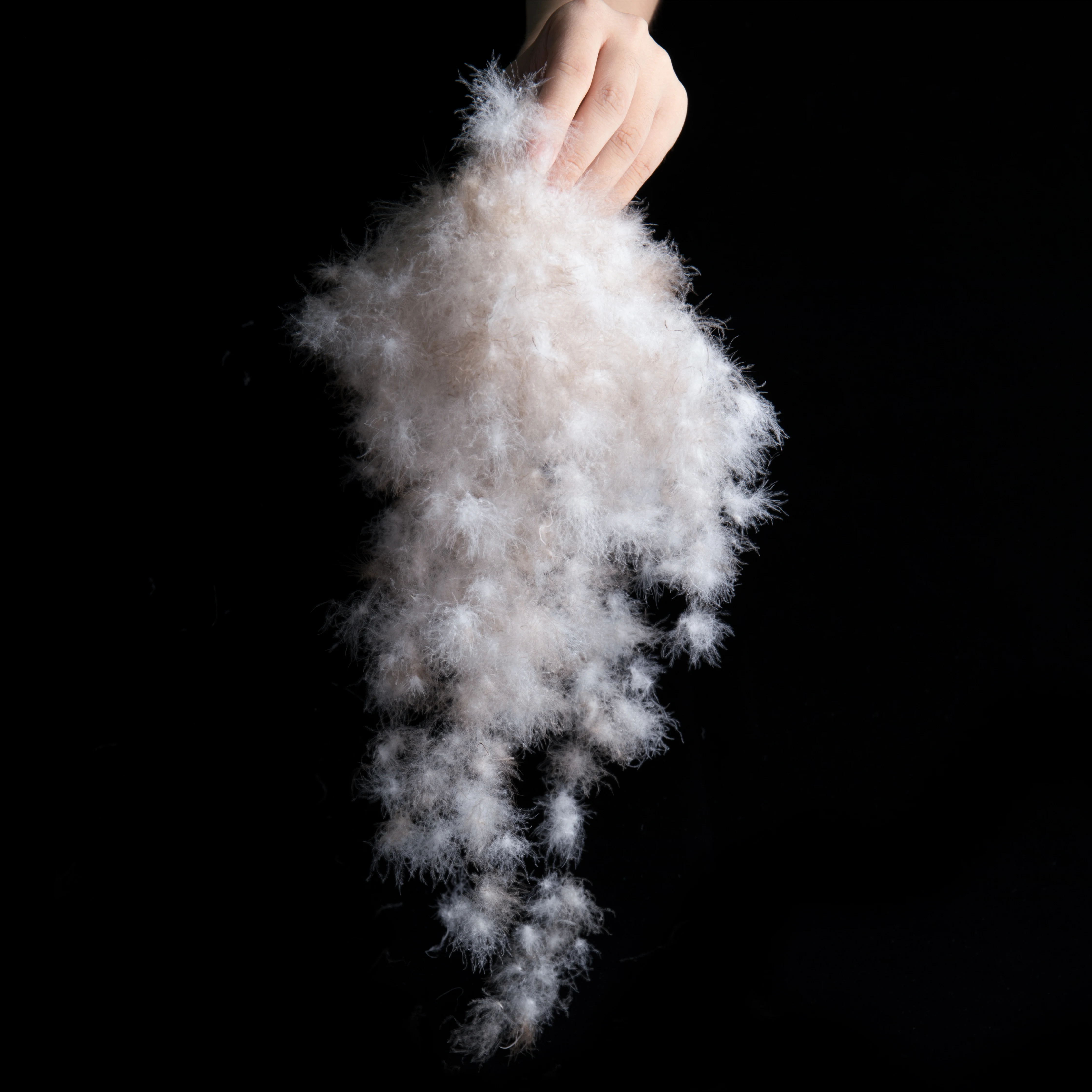 
Hot Sale 95% Washed Grey Muscovy Fabric Clothing Down Feather 