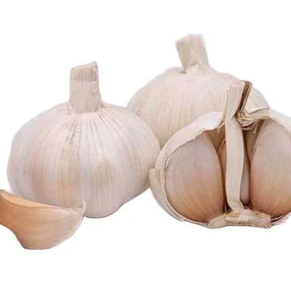 
2021 China/Chinese Best Fresh Natural Garlic Price - New crop Hot sales 