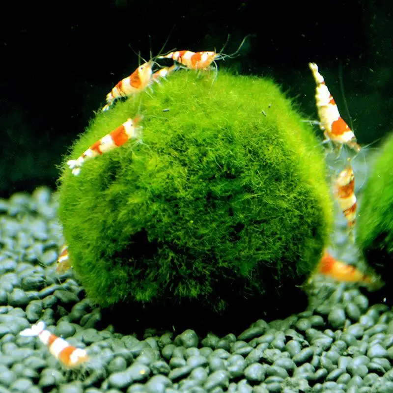 Green Artificial Moss Rocks Decorative Moss Balls Fish Tank Aquarium Decorations