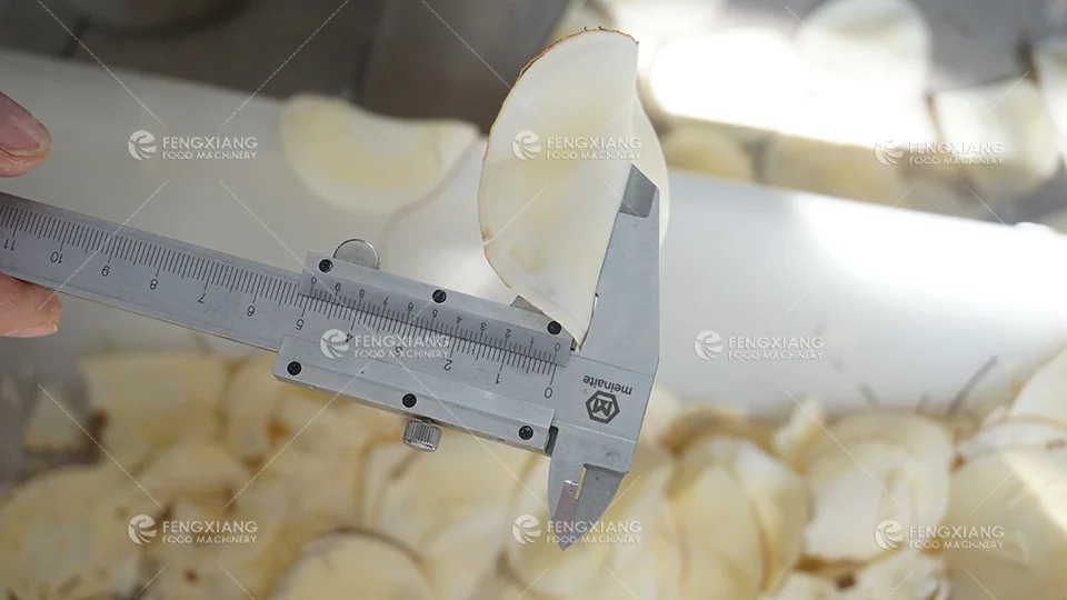 FC-305 Industrial Leafy vegetable slices strips cutting flaking machine coconut bitter gourd chopping shredding cutter